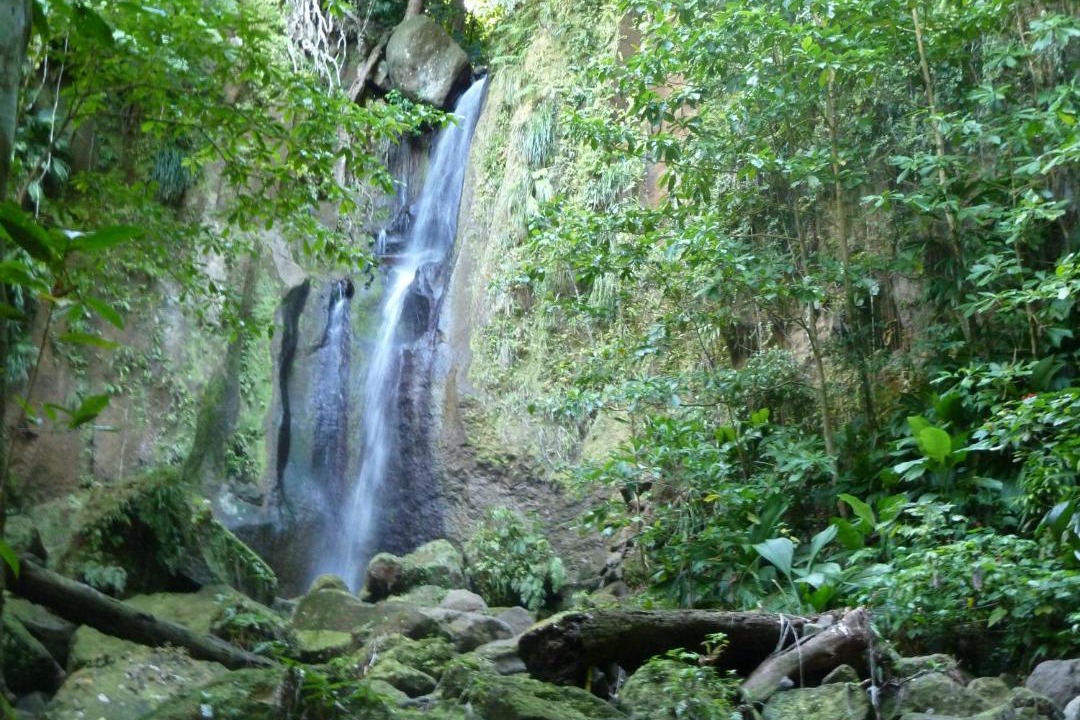 Photo of Others in Rosalie