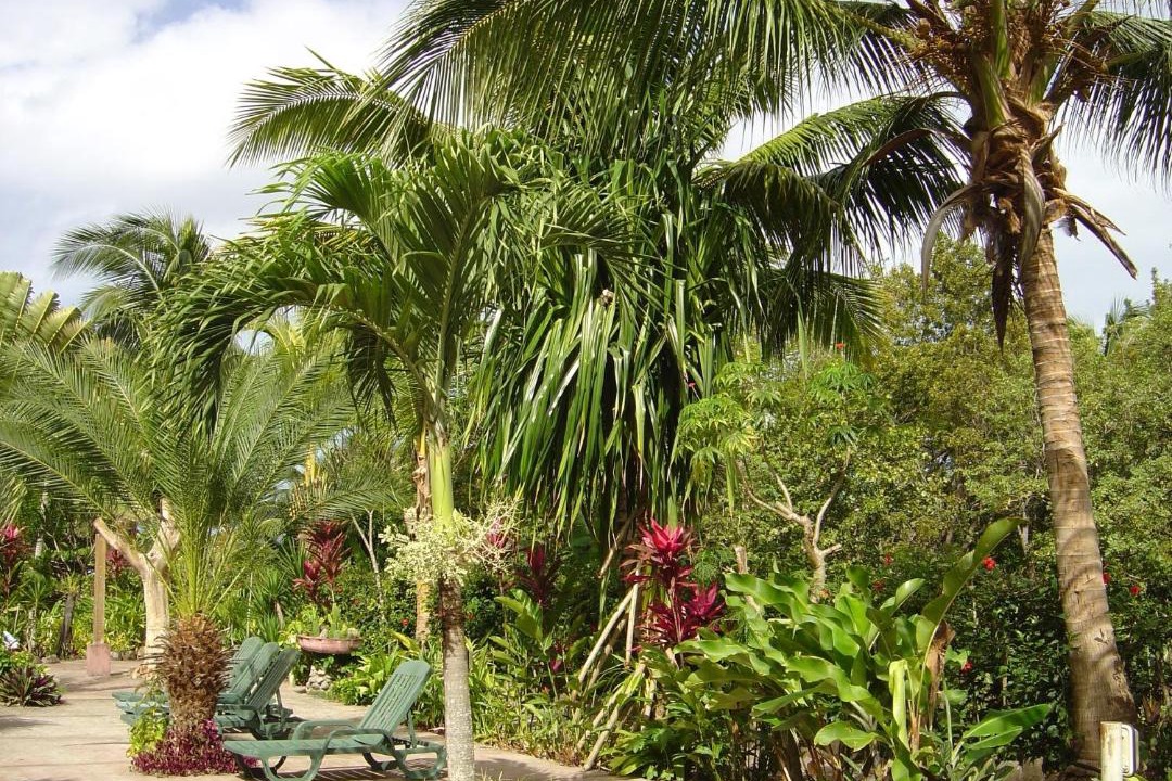 Photo of Others in Baroui
