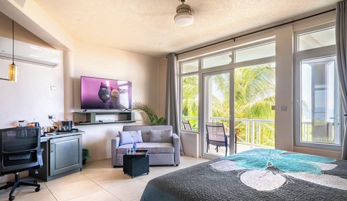 Deluxe Double or Twin Room, Ocean View
