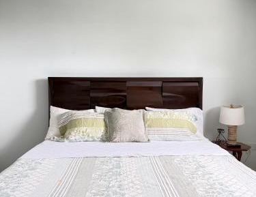 Deluxe One-Bedroom Apartment