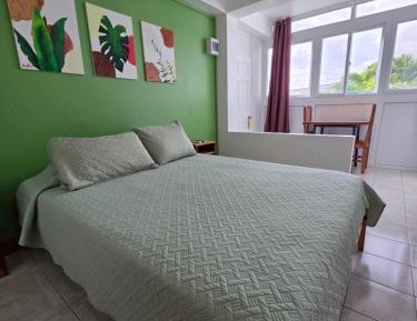 Double Room with Pool View