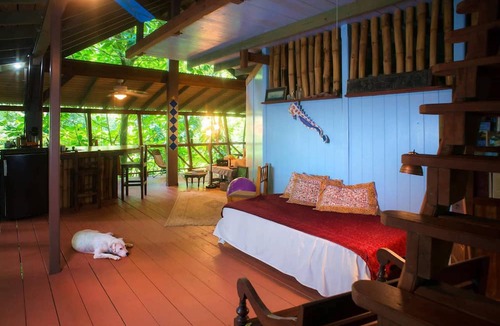 Fond Cani House | Cocoa Cottages