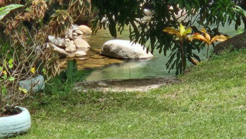 Marigot Apartment | River Splash Apartment at Concord Dominica