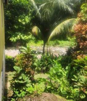 Marigot Apartment | River Splash Cottage at Concord-Dominica