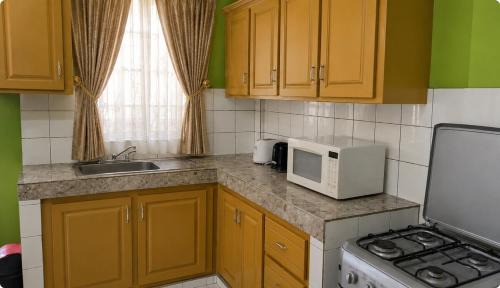 Portsmouth Apartment | Tropi-Kal Synergy Mountain View Home in Dominica
