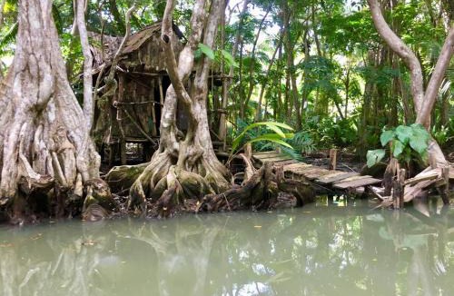 Marigot House | Shirley's Tranquil Home