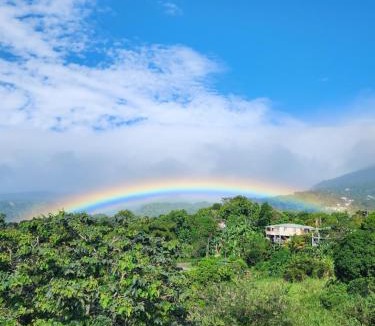 Morne Prosper Bed & Breakfast | Matthew's Miracle View