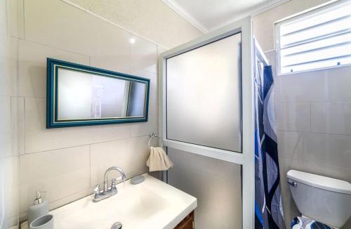 La Plaine Apartment | Ferapalms Tropical Escape with Ocean & Mountain View