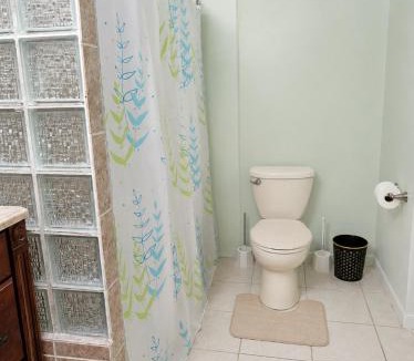 Canefield Apartment | Elegant 2 Bedroom Near Roseau Morne Daniel