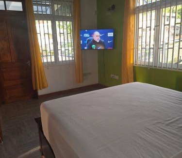 Roseau Apartment | Travellers Villa