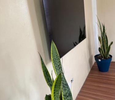 Vieille Case Apartment | Northern Apartment Rentals