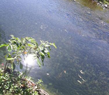 Marigot Hotel | Hibiscus Valley Inn