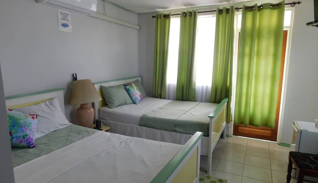 Mr. Clean Bed and Breakfast in Roseau