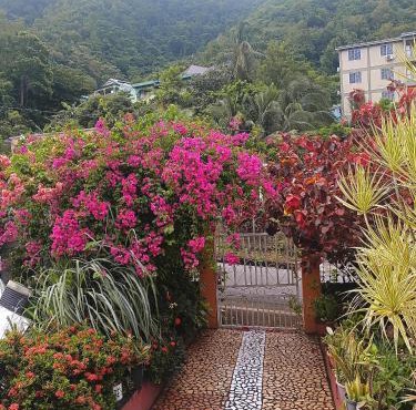 Verve Nature Lodge in Loubiere