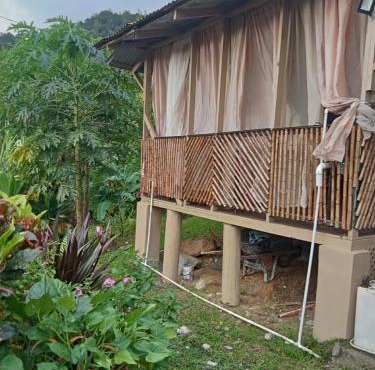 anthurium cabin